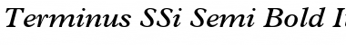 Terminus SSi Semi Bold Italic