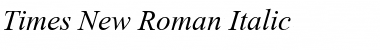 Times New Roman Italic Font