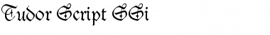 Tudor Script SSi Regular Font