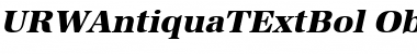 URWAntiquaTExtBol Oblique Font