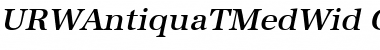 URWAntiquaTMedWid Oblique Font