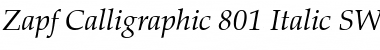Zapf Calligraphic 801 SWA Font