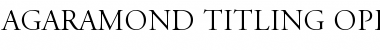 Adobe Garamond Font