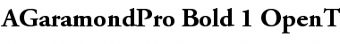 Adobe Garamond Pro Font