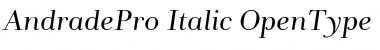 Andrade Pro Italic Font