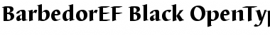 BarbedorEF-Black Font