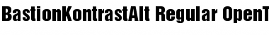 BastionKontrastAlt-Regular Regular Font
