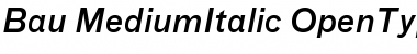 Bau-MediumItalic Font