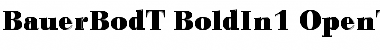 Bauer Bodoni T In1 Font