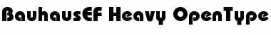 BauhausEF-Heavy Regular Font