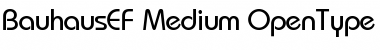 BauhausEF-Medium Font