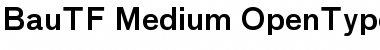 BauTF-Medium Font