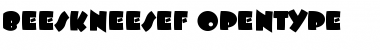 BeeskneesEF Regular Font