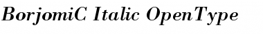 BorjomiC Italic Font