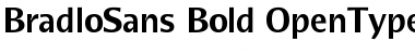BradloSans Bold Font