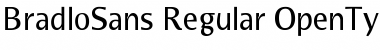 BradloSans Regular Font