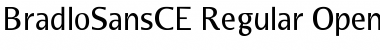 BradloSansCE Regular Font