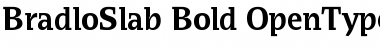 BradloSlab Font
