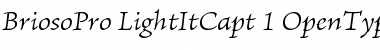 Brioso Pro Light Italic Caption Font