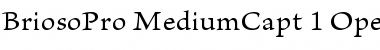 Brioso Pro Medium Caption Font