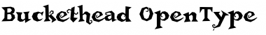 Buckethead Font