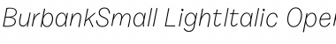 Burbank Small Light Italic Font