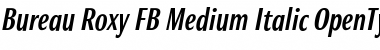 Bureau Roxy FB Medium Italic Font