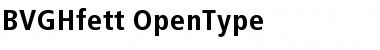 BVGHfett Regular Font