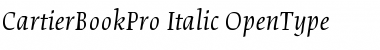 Cartier Book Pro Italic Font