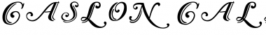 Caslon Calligraphic Initials Regular