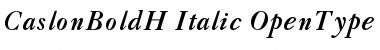 CaslonBoldH-Italic Font