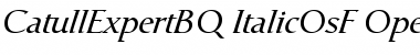 Catull Expert BQ Regular Font