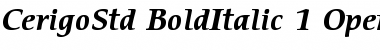 ITC Cerigo Std Bold Italic Font