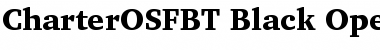 Bitstream Charter Black OSF Font