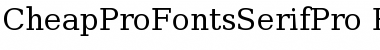 CheapProFonts Serif Pro Font