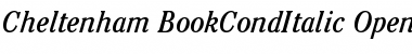 ITC Cheltenham Book Condensed Italic Font