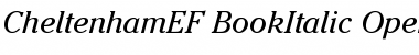 CheltenhamEF-BookItalic Font
