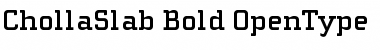 ChollaSlab Bold