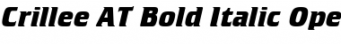 Crillee AT Bold Italic Font