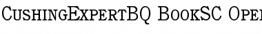 Cushing Expert BQ Font