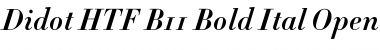Didot HTF-B11-Bold-Ital Font