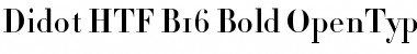 Didot HTF-B16-Bold Font