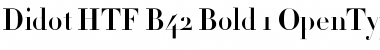 Didot HTF-B42-Bold Font