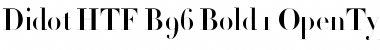 Didot HTF-B96-Bold Font