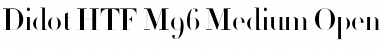 Didot HTF-M96-Medium Font