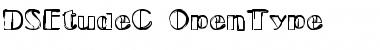 DS EtudeC Font