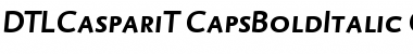 DTL Caspari T Caps Bold Italic