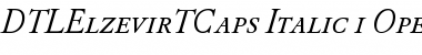 DTL Elzevir T Caps Italic Font
