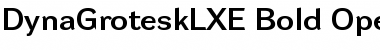 DynaGrotesk LXE Bold Font