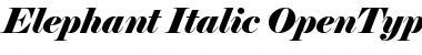 Elephant Italic Font